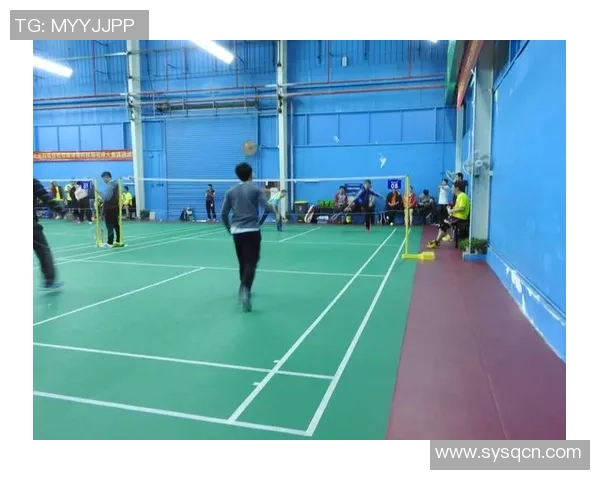 羽毛球的战术博弈：深入解析杭州羽毛球队的竞技策略与团队协作