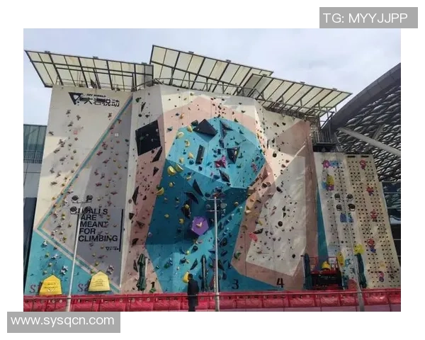 2026攀岩实力排行榜：上海攀岩队位居第9名